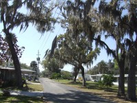 /album/park-photos/typicalstreet1-jpg/