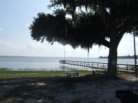 /album/park-photos/lakeyale-jpg/